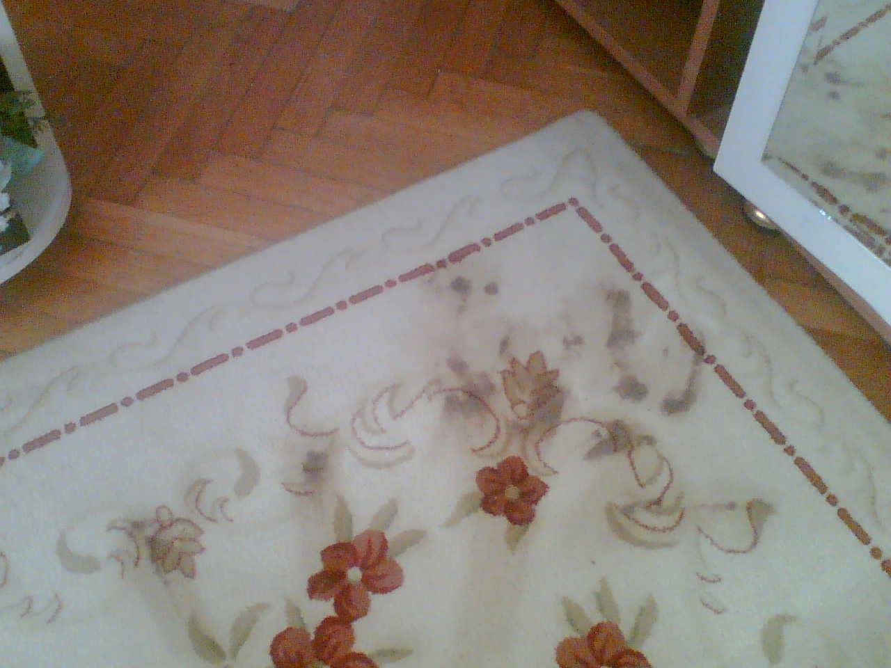 Mini Notlar Halıdaki Çikolata Lekesi Nasıl Çıkar?