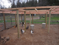 chicken run fence pen panels creek oak ranch anchored laid isn across cut he down last