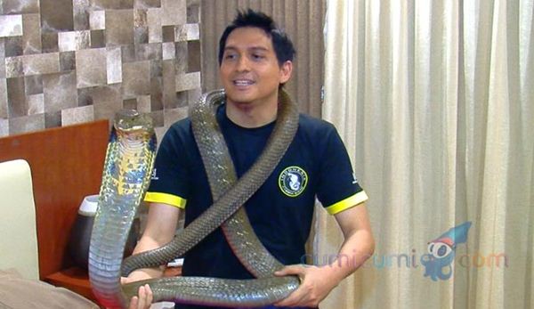Ini Unggahan Lucky Hakim Tentang "Siluman Babi" yang Menjadi Viral