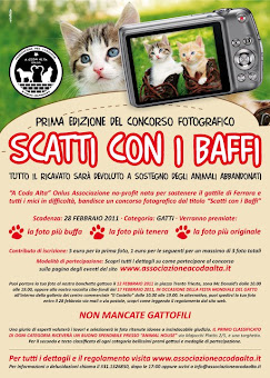 CONCORSO FOTOGRAFICO PER I MICI DEL GATTILE DI FERRARA