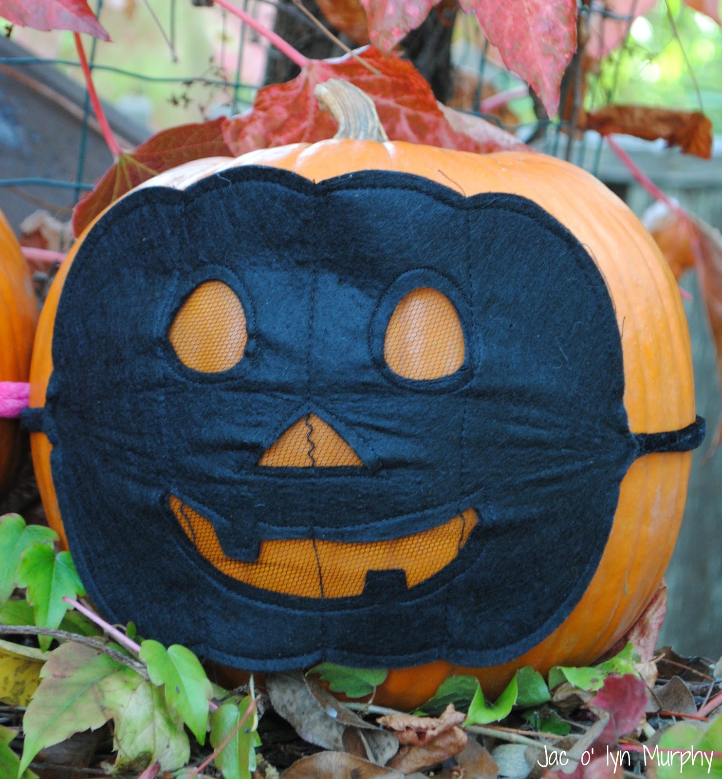 Jac o' lyn Murphy: Masked Pumpkins