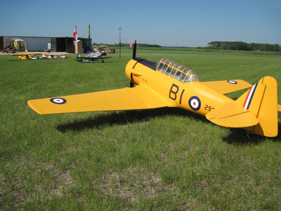 Warbird Notes and Stories Warbird r/c latex paint by Roy Vaillancourt