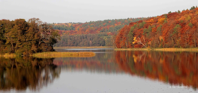 Forest in radiant autumn foliage on a lake. The Indian summer scene in red, yellow, green and golden, is reflected exactly in the water.