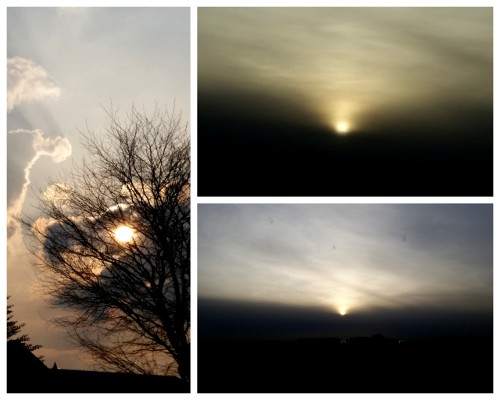 Nunu S Garn Und Stofflabor April 2017