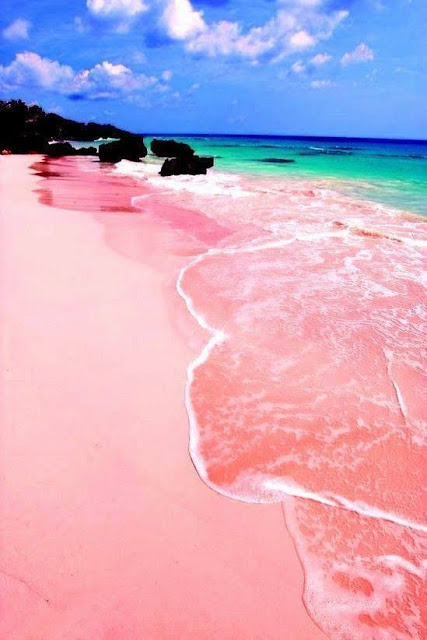 pantai pink lombok timur
