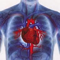 La cardiologia y la cirujia cardiaca