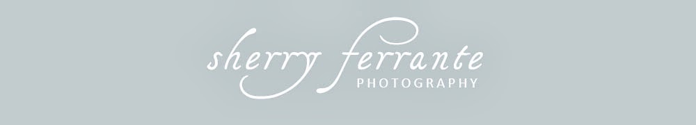 Sherry Ferrante's Photography Blog