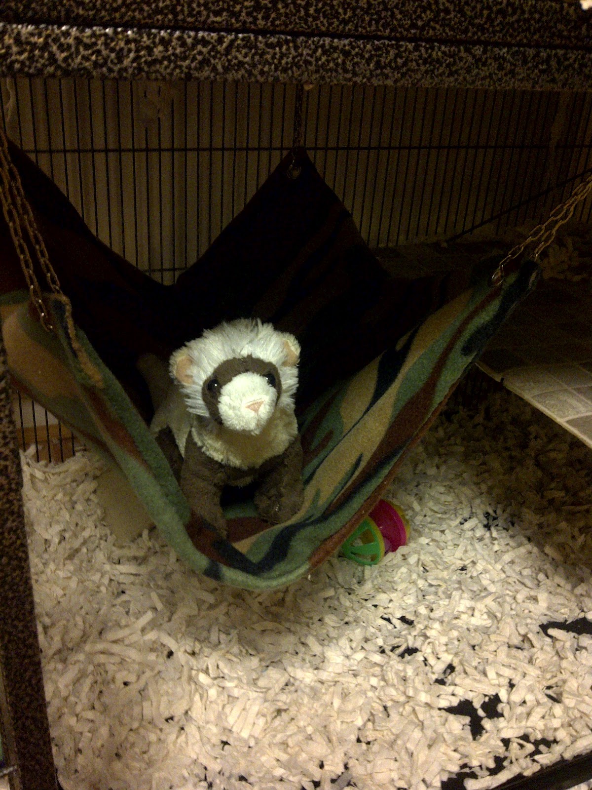 Ferret Dook Homemade ferret bedding Hammock