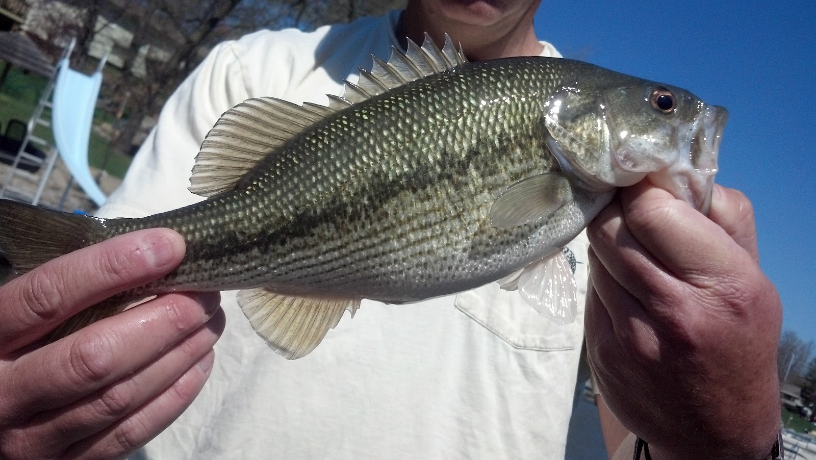 Weatherby Lake Fishing