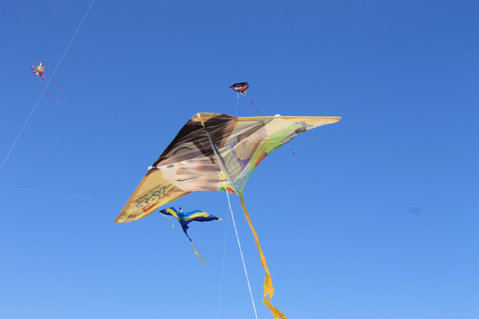 KITE FESTIVAL AT REDONDO BEACH