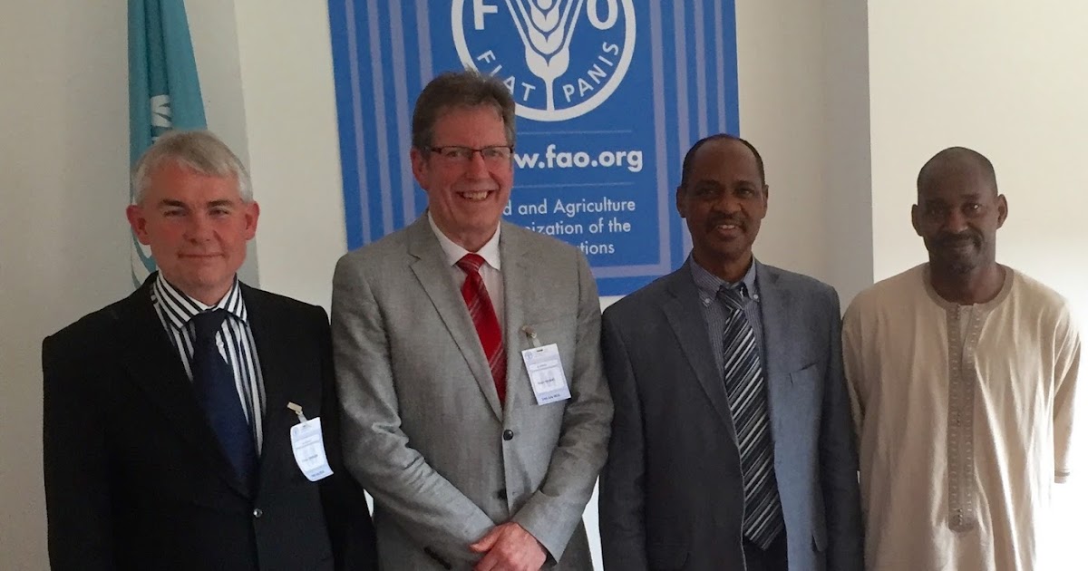 The Global Miller 15/07/2016 Milling and Grain to assist millers in