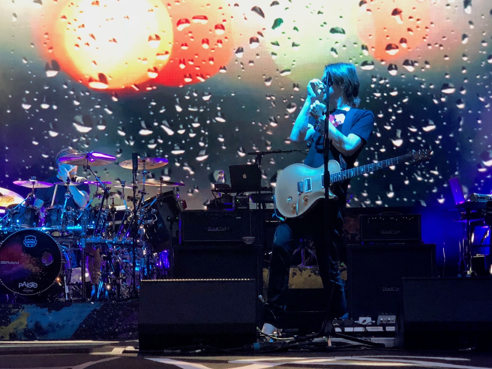 Berlin Park Nr 07 Wandervogel