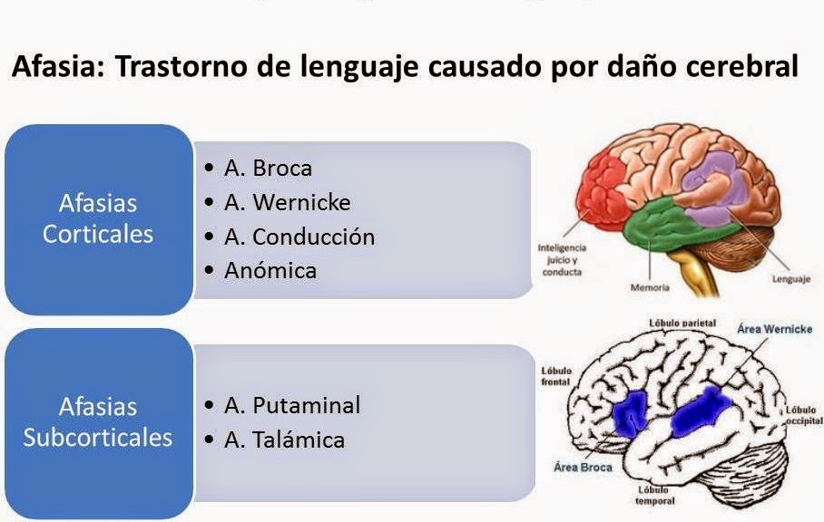 Como superar el trastorno por atracón pdf