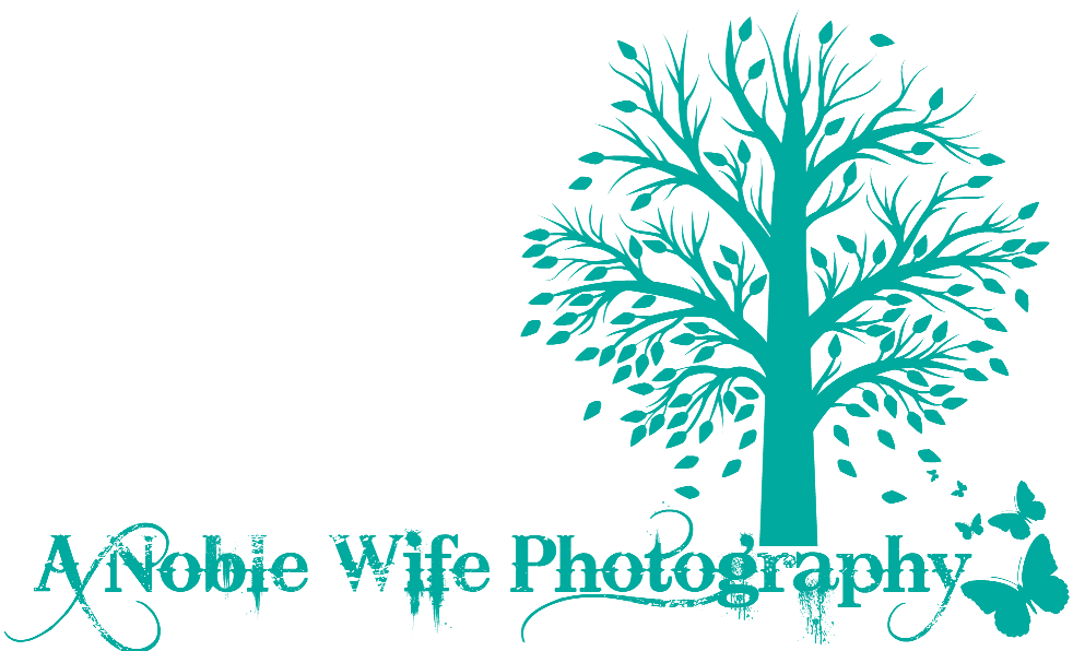 A Noble Wife Photography
