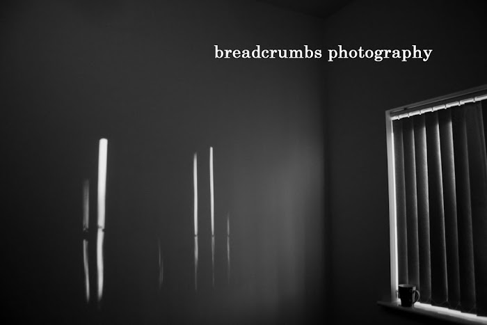 breadcrumbs photography
