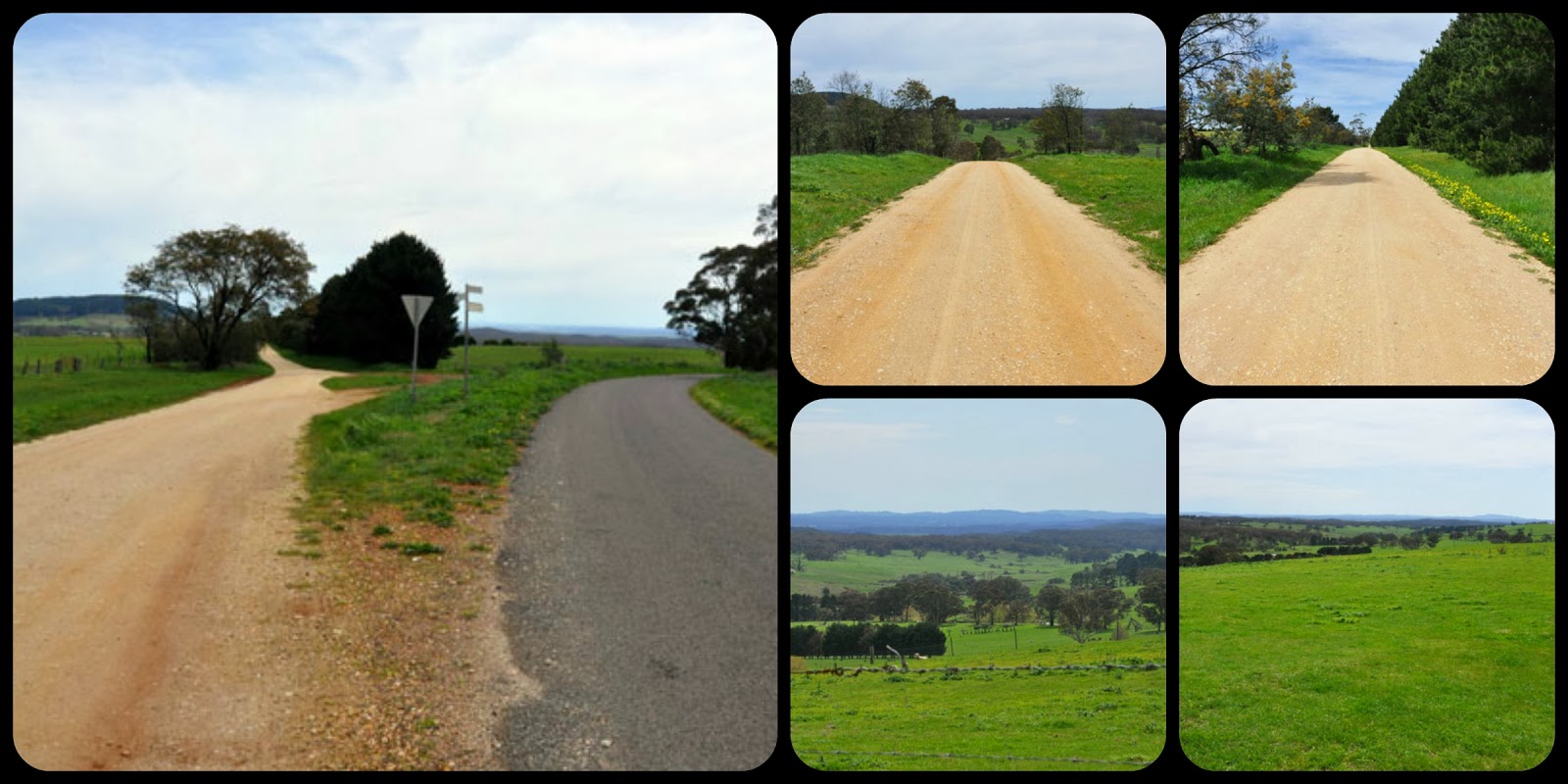 a bit of everything Porcupine Ridge Road....