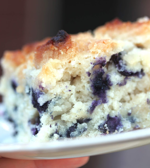 Summer Vegan Blueberry Buckle