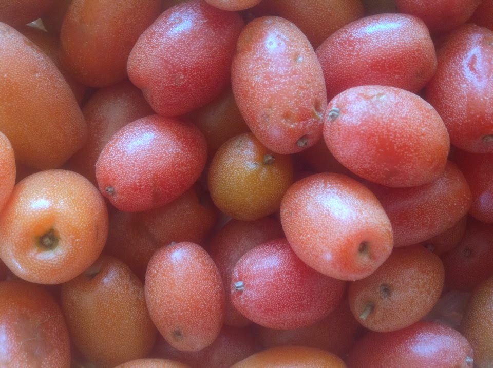 Taste of Nepal Glossary of Common Fruits of Nepal (EnglishNepali