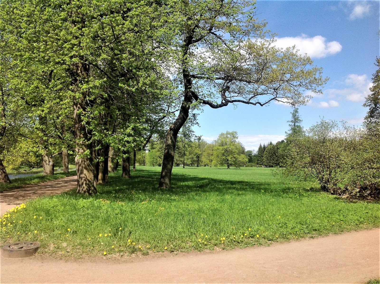 дубовая поселок дубовая роща. парк кашира московская область. дубовая роща рязань. дубовая роща поселок. ольгинский парк в железнодорожном.