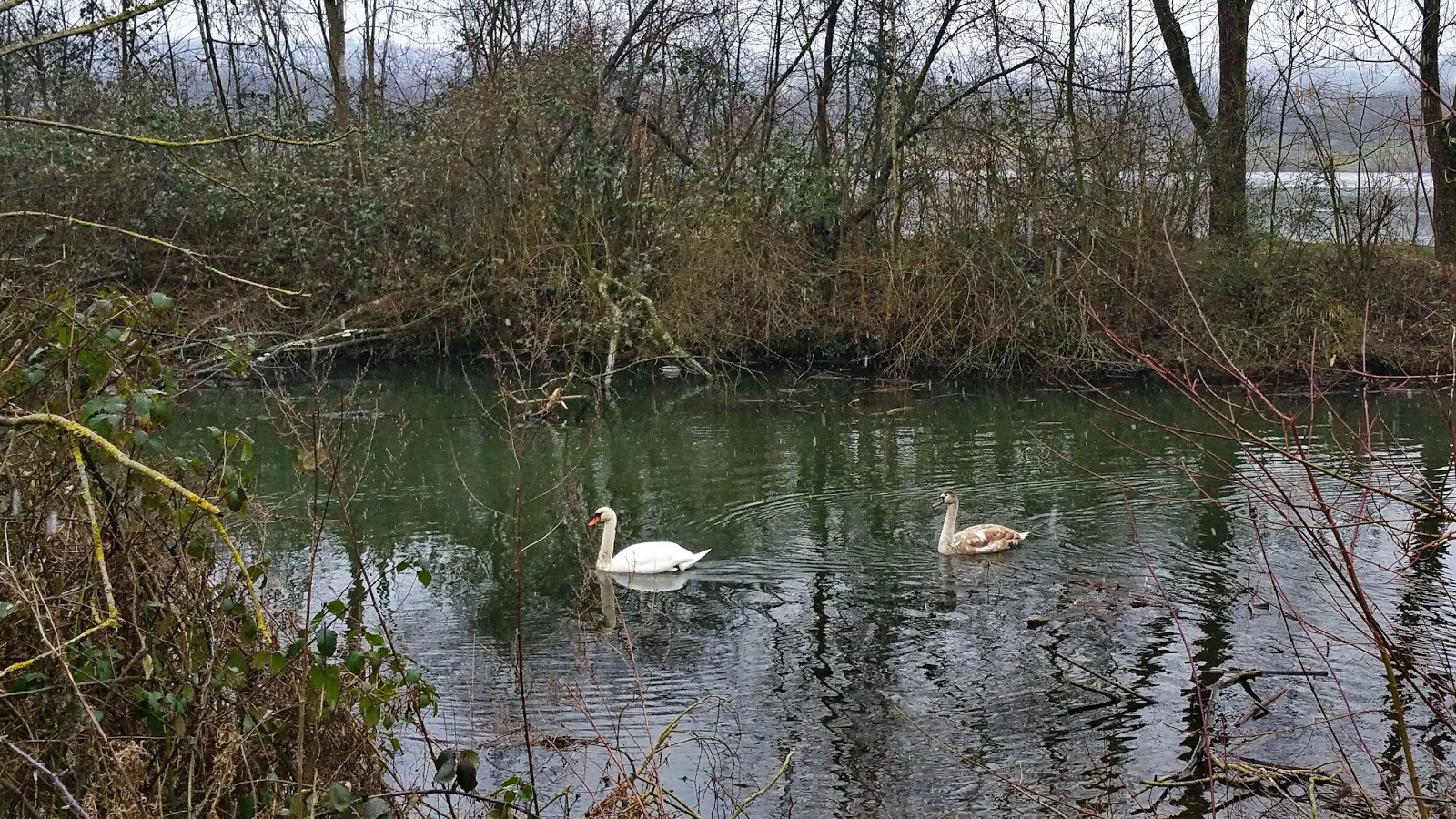 Arbeitsschuhe S2 Leicht Weiss