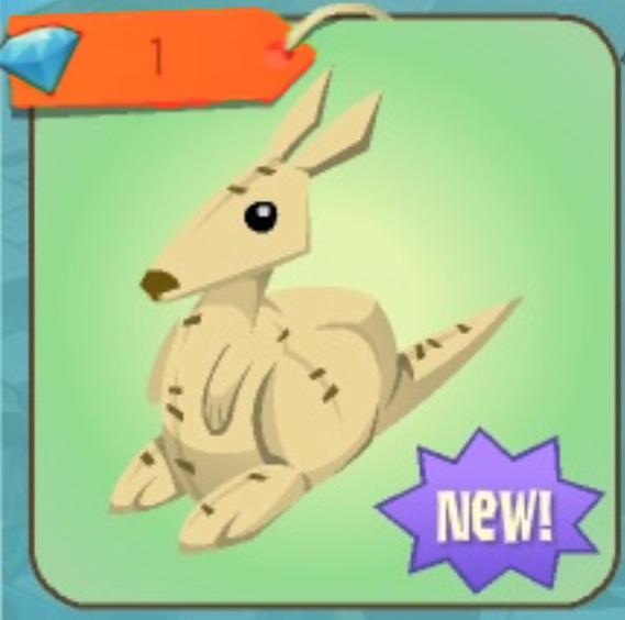 Animal Jam Buddies Giant Kangaroo Plush, New Jammer, Authors, and More!