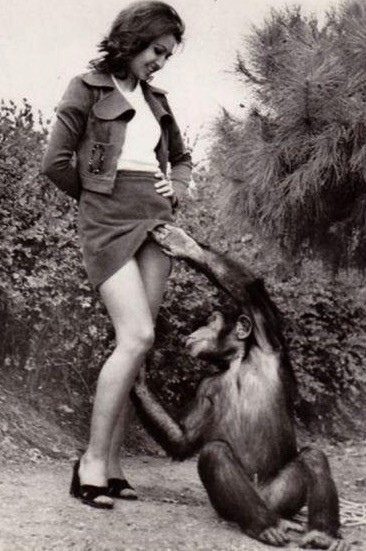 Woman Fucks Chimpanzees