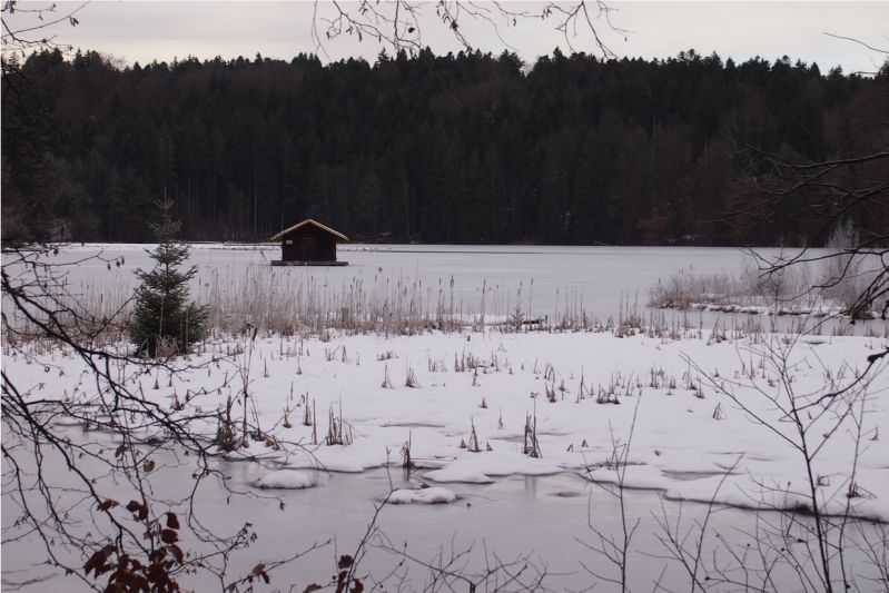 Winterlich gefrorener, schneebedeckter Hackensee, Oberbayern