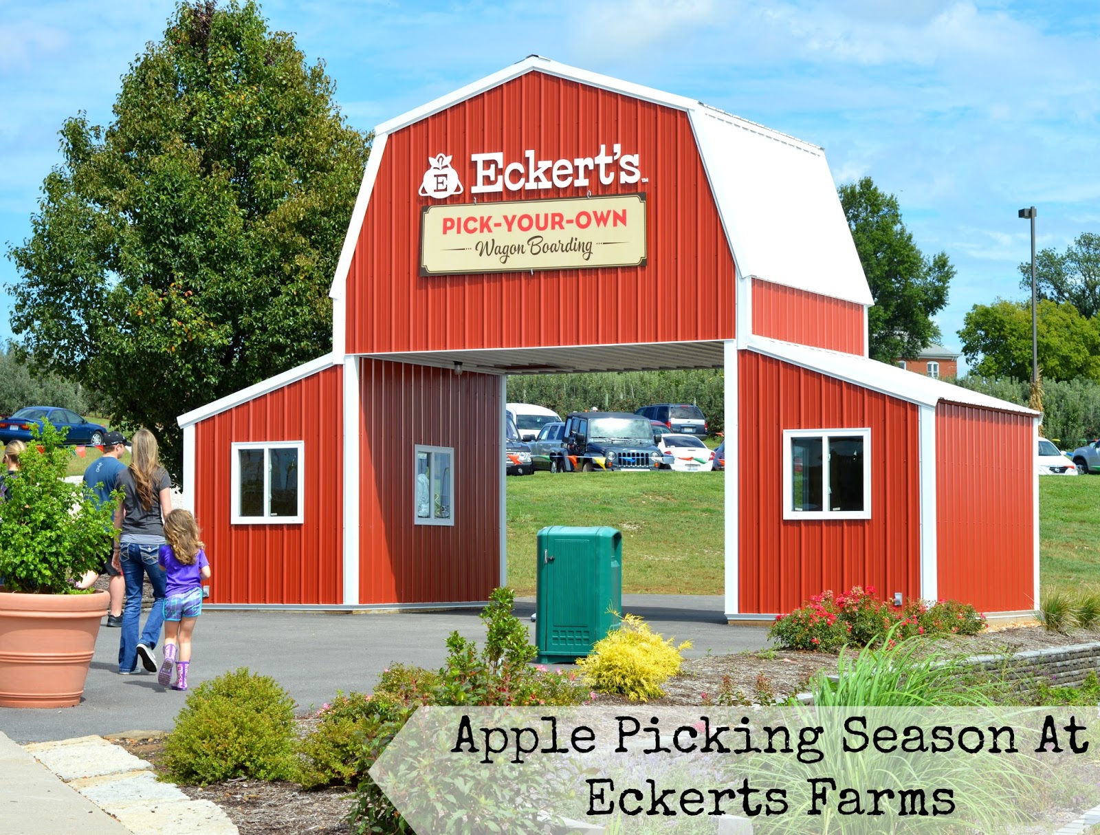Apple Picking Season At Eckert's Farm Guide For Moms