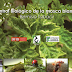 Manual gratis de Control Biológico de la Mosca Blanca.pdf