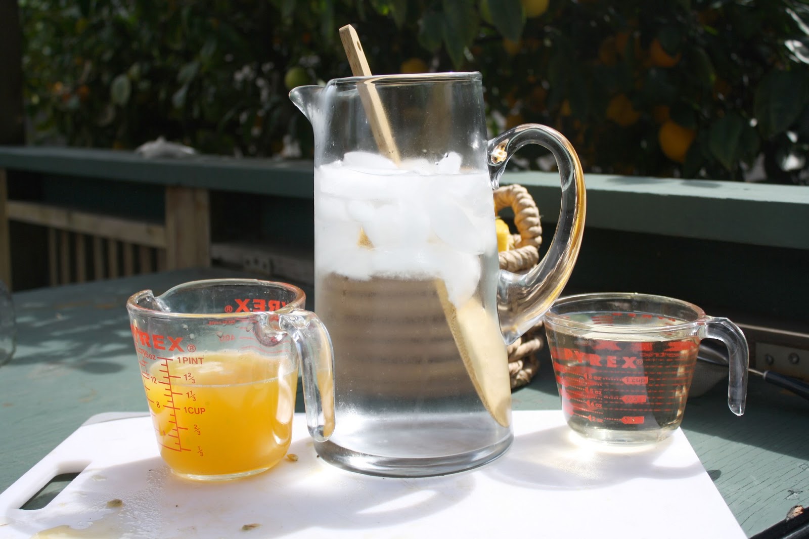 Hello Hungry! Fresh, FromtheTree, Lemonade