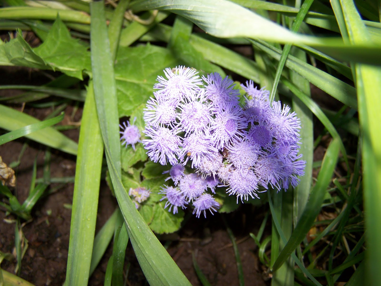 Coping with Miscarriage