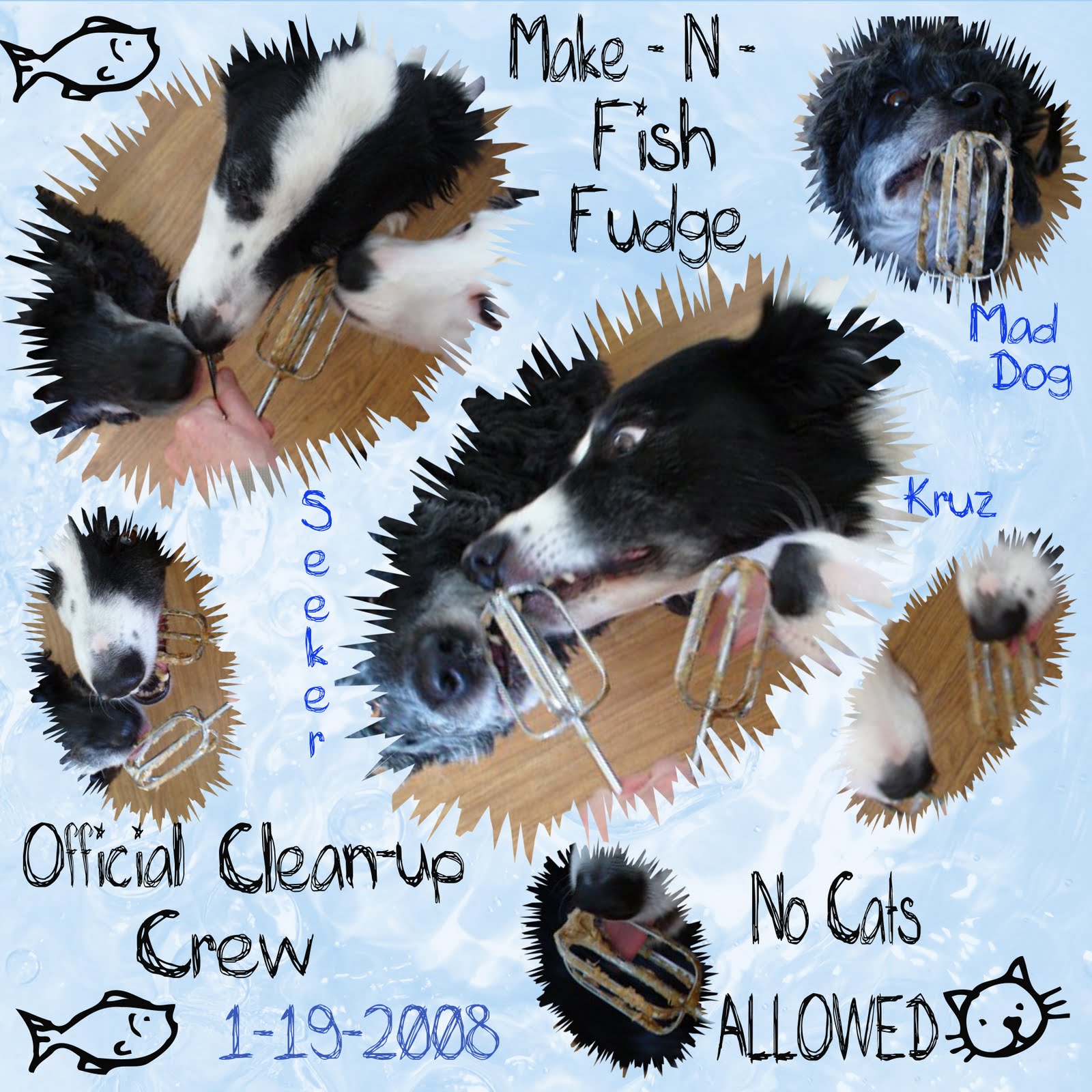 Smooth Sailin' Agility September 2011