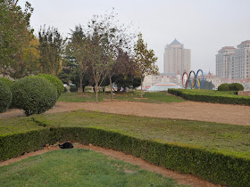 black cat hiding behind bushes at Olympic Square in Dalian