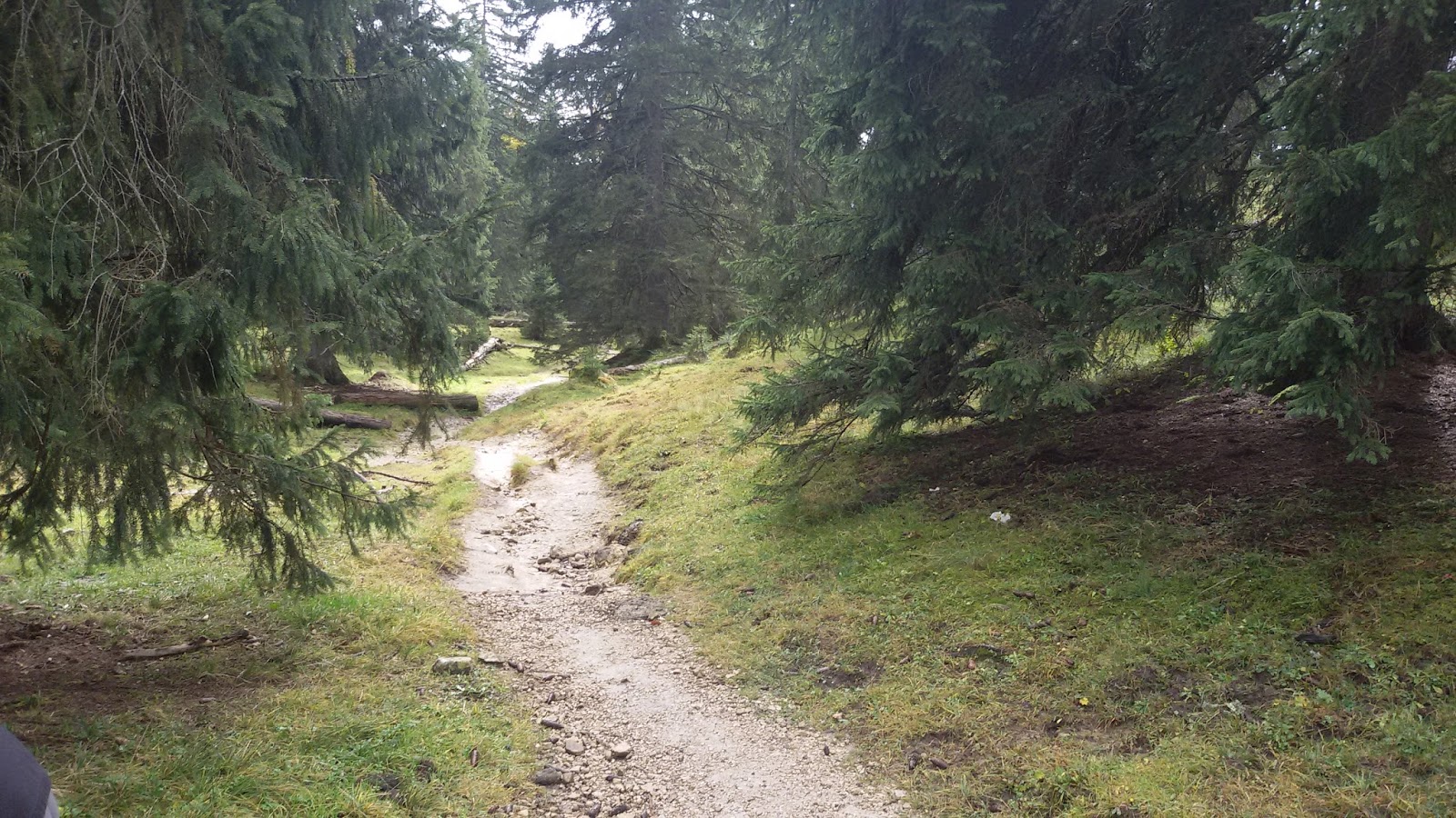 Freeride Inc Austria Mountainbike Blog Deutschland Osterreich