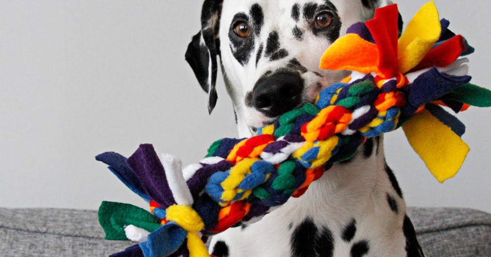 Dalmatian DIY Tug of Tugs! DIY Double Woven Fleece Dog Tug Toy