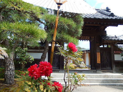 ���J���̃{�^��