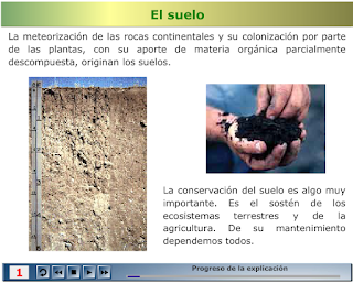 http://recursostic.educacion.es/secundaria/edad/3esobiologia/3quincena2/imagenes/suelo.swf