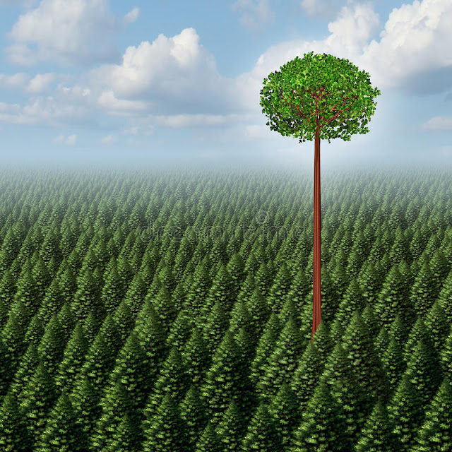 STANDING OUT FOR CHRIST VOC Quotes