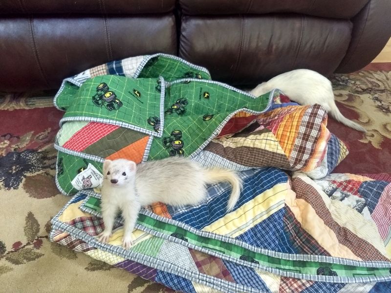 Quilting Blogs What are quilters blogging about today? 66