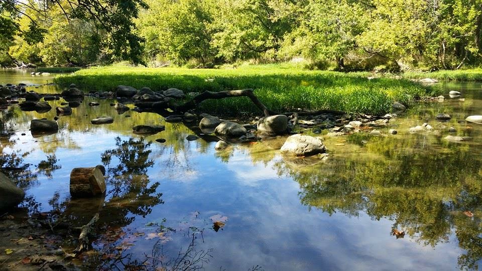 Phreedom Phormula Today in Battelle Darby Creek Metro Park (Galloway