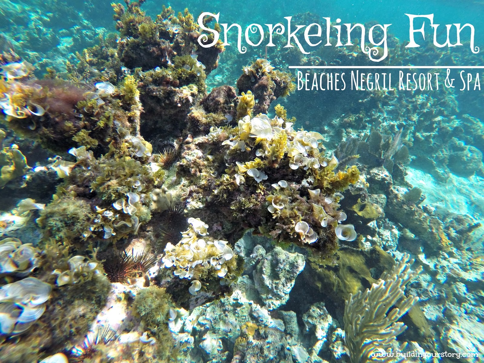 Snorkeling Fun Beaches Negril Resort & Spa Building Our Story