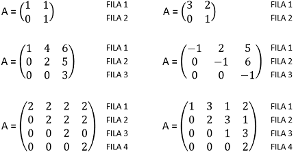 Wangenknochen Kontinent Aber matriz fila definicion y ejemplo Grausam ...