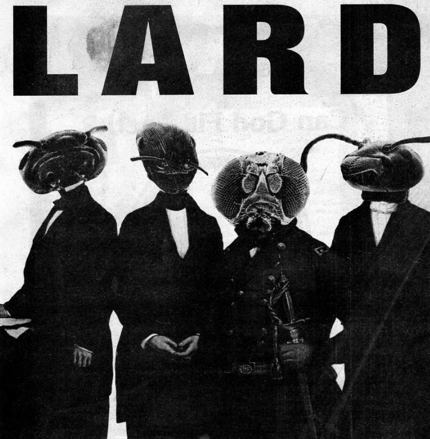 [shiny grey monotone] lard discography