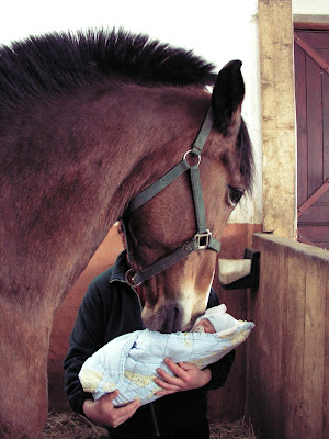 koń, konie, jazda konna, niemowlę, małe dziecko