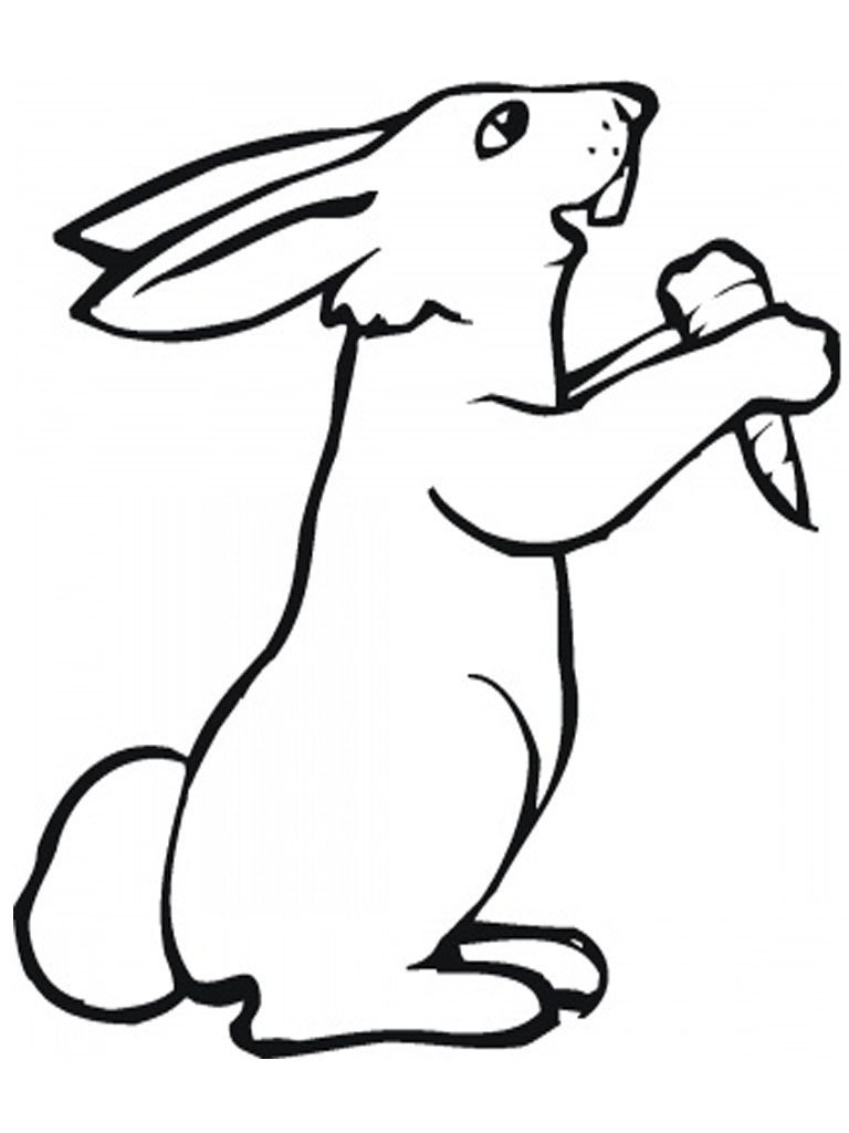 rabbit with carrot coloring pages - photo #29