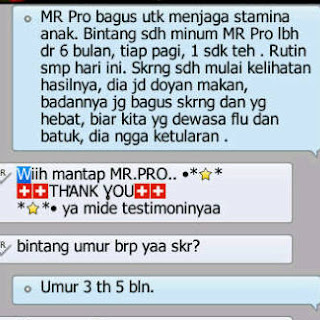 Jual MR Pro Asli HWI Mojokerto
