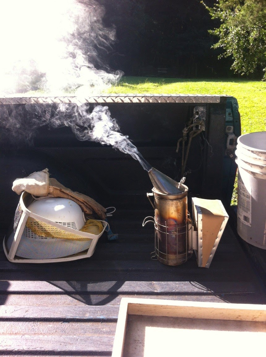 Lettuce Grow It Weston Family Farm Harvesting Honey