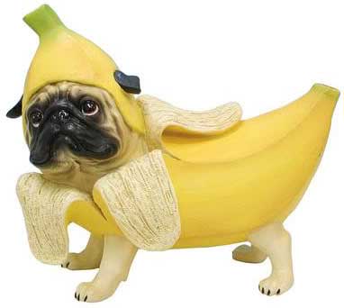 dogs and bananas dogs and bananas