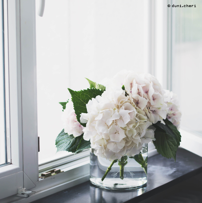 Hortensien weiß groß vase H&M Hortensien weiß groß vase H&M